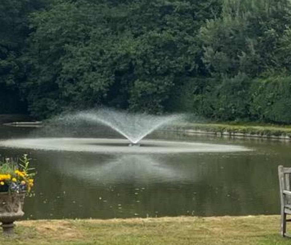 Fountain with app-controlled electrical system
