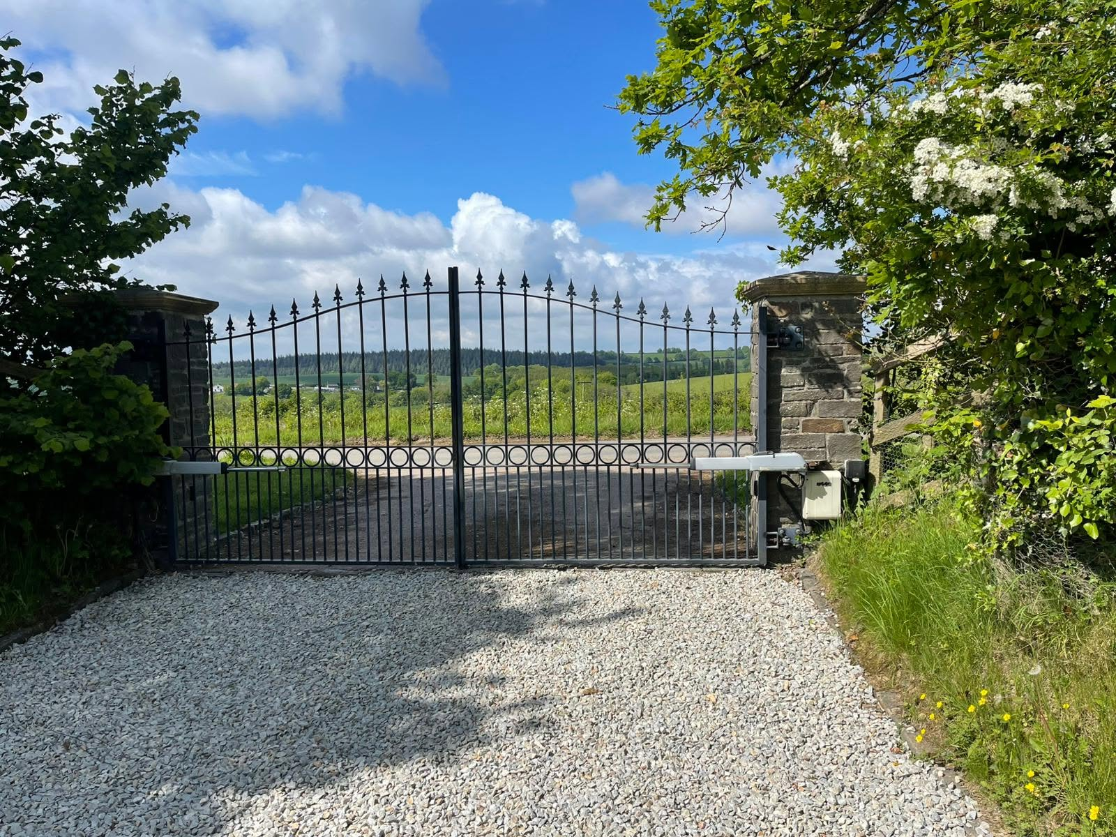 Electronic entrance gates